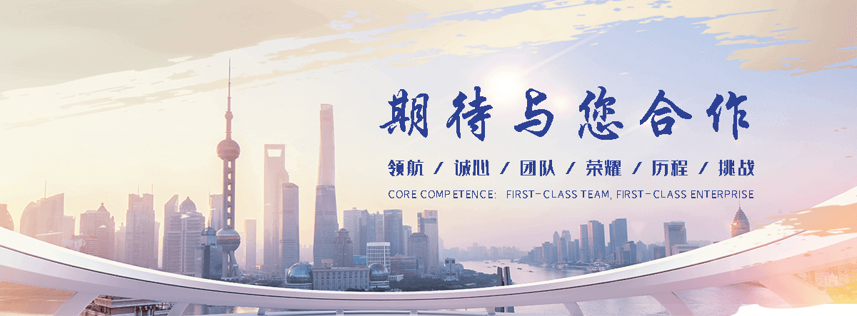 昌都自研AI全域获客系统与成熟落地运营体系,GEO推广公司,口碑好的GEO推广公司